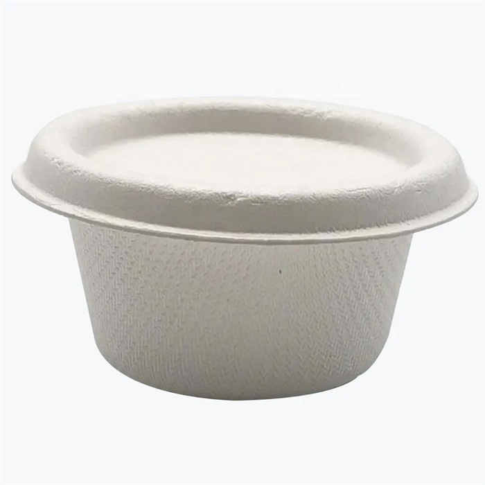 Sugarcane bowl with lid from DisposablesInc.com. The best import service in China. Import your disposable items and products from us.